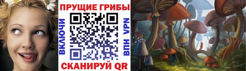 Псилоцибиновые грибы MAGIC MUSHROOMS  Приозерск 